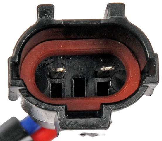Dorman - OE Solutions Conjunto de motor y regulador de ventana P/N:741-309 Fits: Dodge Verna 05-04, Hyundai Accent 05-00 - Image 3