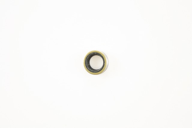 Pioneer Automotive Industries Automatic Transmission Selector Shaft Seal P/N:759022 Fits: Am General Hummer, Bentley Corniche, Buick Apollo, Buick Centurion, Buick Century, Buick Electra, Buick Gs 400, Buick Lesabre - Image 1