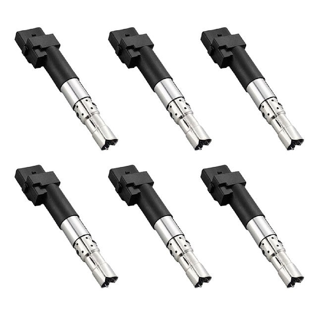 ACEON Ignition Coil Set P/N:7805-6353-06 Fits: Audi A3 Quattro, Audi Q7, Audi Tt Quattro, Porsche Cayenne, Volkswagen Eos, Volkswagen Passat, Volkswagen Passat Cc, Volkswagen R32, Volkswagen Touareg - Image 1