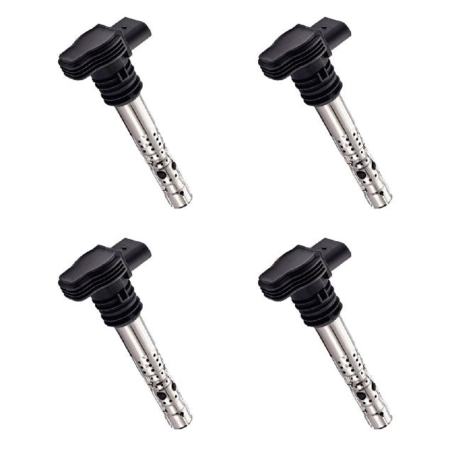 ACEON Ignition Coil Set P/N:7805-6552-04 Fits: Audi A3, Audi A4, Audi A4 Quattro, Audi A6 Quattro, Audi Allroad Quattro, Audi S3, Audi Tt, Audi Tt Quattro, Seat Toledo, Volkswagen Beetle - Image 1