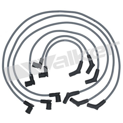Walker Products Spark Plug Wire Set P/N:924-1608 Fits: Ford Windstar 03-01 - Image 1