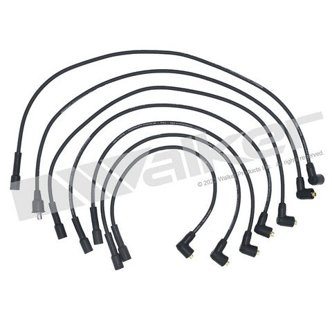 Walker Products Spark Plug Wire Set P/N:924-1609 Fits: Buick Skylark, Buick Special, Buick Sportwagon, Jeep Cj3, Jeep Cj5, Jeep Cj5a, Jeep Cj6, Jeep Cj6a, Jeep Commando, Jeep Dispatcher - Image 1