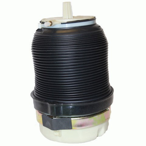 Westar Air Suspension Spring P/N:AS-7027 Fits: Audi A6 11-05, Audi A6 Quattro 11-05, Audi S6 11-07 - Image 1