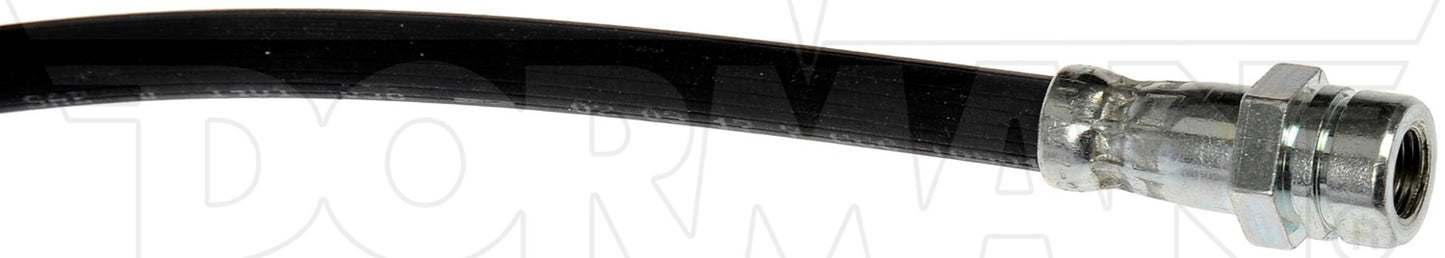 Dorman - First Stop Brake Hydraulic Hose P/N:H629089 Fits: Audi A1 18-15, Seat Ibiza 12-06, Seat Ibiza 17-16, Seat Toledo 19-17, Seat Toledo 2013, Volkswagen Polo 17-15, Volkswagen Polo 2020, Volkswagen Vento 17-14, Volkswagen Vento 2020 - Image 4