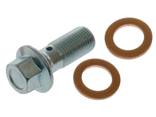 Raybestos Brakes Brake Hydraulic Banjo Bolt P/N:H9502 Fits: Genesis G80, Genesis G90, Hyundai Accent, Hyundai Azera, Hyundai Elantra, Hyundai Elantra Gt, Hyundai Equus, Hyundai Genesis, Hyundai Ioniq, Hyundai Santa Fe Sport - Image 1