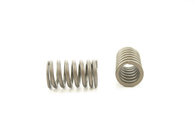 Pioneer Automotive Industries Engine Valve Spring P/N:RV-1314 Fits: Honda Accord 86-84, Honda Prelude 87-83 - Image 1