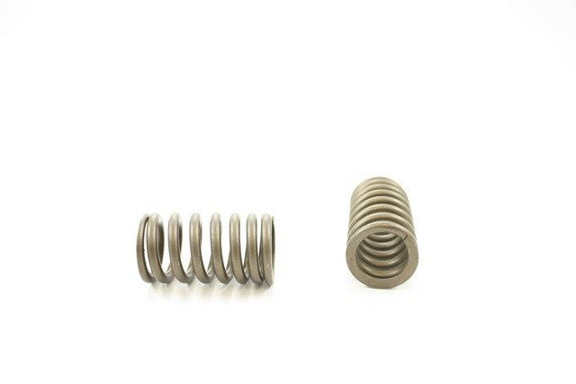 Pioneer Automotive Industries Engine Valve Spring P/N:RV-1429 Fits: Mazda Mx-3 1992 - Image 1