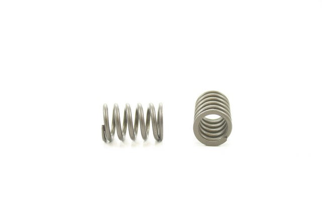 Pioneer Automotive Industries Engine Valve Spring P/N:RV-1582 Fits: Honda Civic 87-84 - Image 1