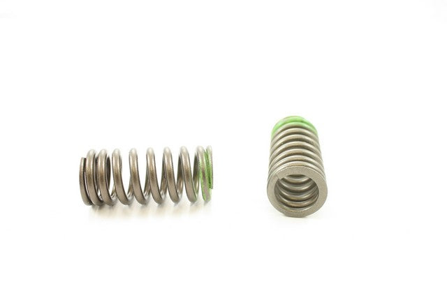 Pioneer Automotive Industries Engine Valve Spring P/N:RV-2410 Fits: Honda Accord 07-03, Honda Odyssey 09-02, Honda Pilot 07-03, Honda Ridgeline 08-06 - Image 1