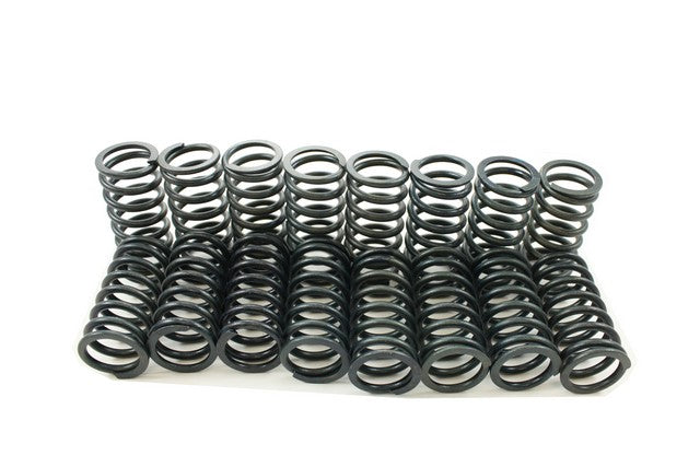 Pioneer Automotive Industries Engine Valve Spring Kit P/N:S-1054 Fits: Ford 300, Ford Bronco, Ford Club, Ford Country Sedan, Ford Country Squire, Ford Courier Sedan Delivery, Ford Custom - Image 1