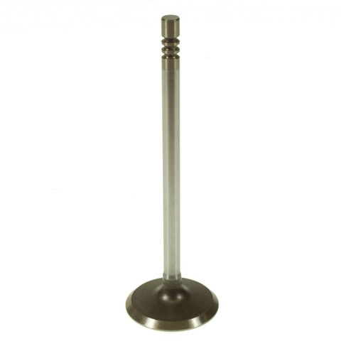 Melling Engine Intake Valve P/N:V1920 Fits: Chrysler 300 10-05, Chrysler Concorde 04-98, Chrysler Intrepid 04-98, Chrysler Sebring 10-01, Dodge Avenger 10-08, Dodge Charger 10-06, Dodge Intrepid 04-98, Dodge Magnum 08-05, Dodge Stratus 06-01 - Image 1