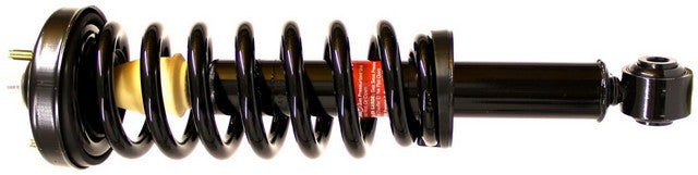 Monroe Shocks & Struts Suspension Strut and Coil Spring Assembly P/N:171141 Fits: Ford F-150 13-09 - Image 1