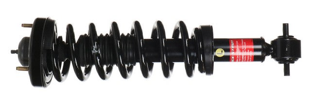 Monroe Shocks & Struts Suspension Strut and Coil Spring Assembly P/N:173031L Fits: Ford F-150 20-15 - Image 1