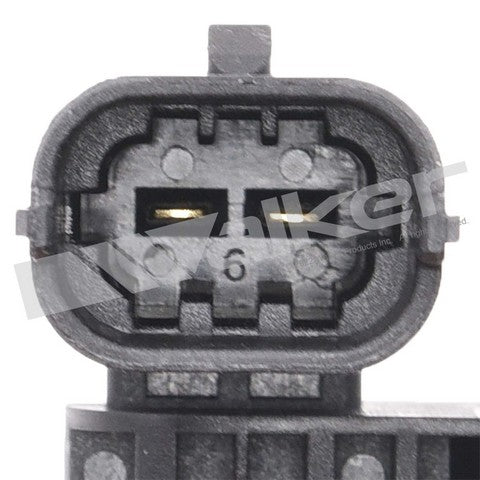 Walker Products Air Charge Temperature Sensor P/N:210-1182 Fits: Genesis G70 23-19, Hyundai Elantra N 23-22, Hyundai Kona 23-22, Hyundai Kona N 23-22, Hyundai Veloster N 22-19 - Image 4