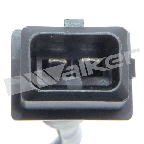 Walker Products Ignition Knock (Detonation) Sensor P/N:242-1047 Fits: Chrysler 300m, Chrysler Aspen, Chrysler Concorde, Chrysler Pacifica, Chrysler TOWN &amp; COUNTRY, Dodge Dakota, Dodge Durango, Dodge Grand Caravan, Dodge Intrepid - Image 3