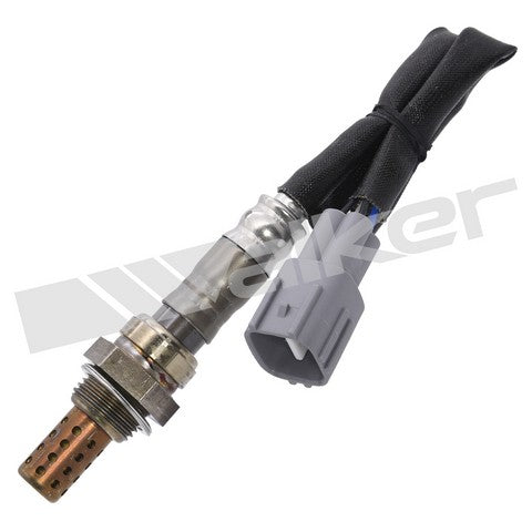 Walker Products Oxygen Sensor P/N:250-24360 Fits: Lexus Es300, Lexus Es300h, Lexus Es330, Lexus Es350, Lexus Gs300, Lexus Gx460, Lexus Gx470, Lexus Lx470, Lexus Lx570 - Image 1