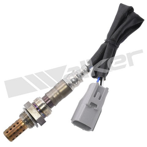 Walker Products Oxygen Sensor P/N:250-24485 Fits: Jaguar Vanden Plas 1998, Jaguar Xj8 1998, Jaguar Xjr 1998, Jaguar Xk8 99-97 - Image 1