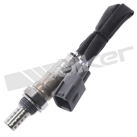 Walker Products Oxygen Sensor P/N:250-24924 Fits: Lexus Es350 24-19, Lexus Ls600h 2016, Toyota Avalon 22-19, Toyota Camry 24-18, Toyota Highlander 22-20, Toyota Tacoma 23-16 - Image 1