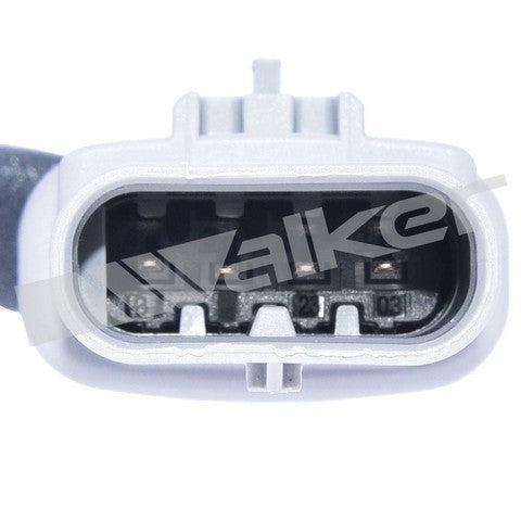 Walker Products Oxygen Sensor P/N:350-341064 Fits: Buick Enclave, Cadillac Ats, Cadillac Ct6, Cadillac Cts, Cadillac Escalade, Cadillac Escalade Esv, Cadillac Xt5, Cadillac Xt6, Chevrolet Blazer, Chevrolet Camaro - Image 2