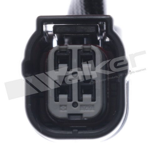 Walker Products Oxygen Sensor P/N:350-341077 Fits: Honda Accord 20-17, Honda City 2017, Honda Civic 21-16, Honda Clarity 21-18, Honda Cr-v 23-17, Honda Insight 22-19, Honda Odyssey 24-18, Honda Pilot 21-20 - Image 3