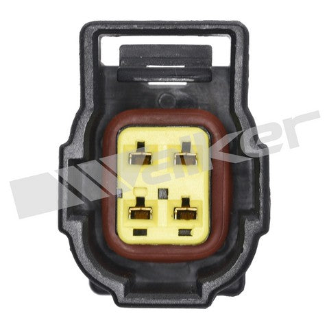Walker Products Oxygen Sensor P/N:350-34598 Fits: Dodge Dakota, Dodge Durango, Dodge Ram 1500, Dodge Ram 1500 Van, Dodge Ram 2500, Dodge Ram 2500 Van, Dodge Ram 3500, Dodge Ram 3500 Van - Image 4