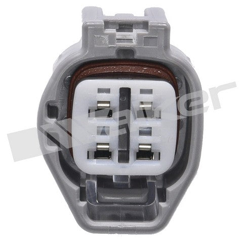 Walker Products Oxygen Sensor P/N:350-64046 Fits: Jaguar S-type 06-03, Jaguar Super V8 2005, Jaguar Vanden Plas 06-04, Jaguar Xj8 05-04, Jaguar Xjr 05-04, Jaguar Xk8 06-03, Jaguar Xkr 06-03, Jaguar X-type 08-02 - Image 4