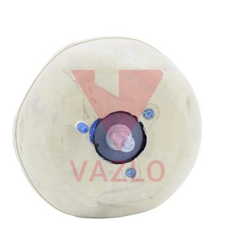Vazlo Engine Mount P/N:3518H Fits: Jaguar S-type 08-00, Jaguar Vanden Plas 05-04, Jaguar Xj8 05-04, Lincoln Ls 06-00 - Image 10