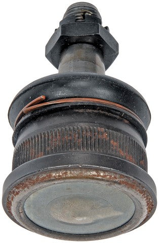 Dorman - OE Solutions Articulación de Potula de Suspensión P/N:532-606 Fits: Opel 1900 75-71, Opel Manta 75-73 - Image 2