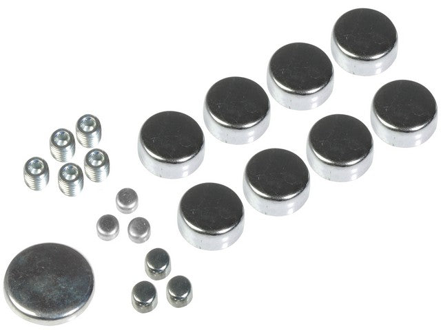 Dorman - Autograde Engine Expansion Plug Kit P/N:557-001 Fits: Buick Century, Buick Commercial Chassis, Buick Estate Wagon, Buick Gs, Buick Gs 350, Buick Lesabre, Buick Regal, Buick Roadmaster, Buick Skylark - Image 1