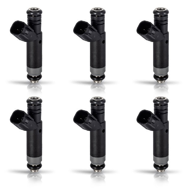 ACEON Fuel Injector Set P/N:7795-1130-06 Fits: Ford F-150 08-05 - Image 1