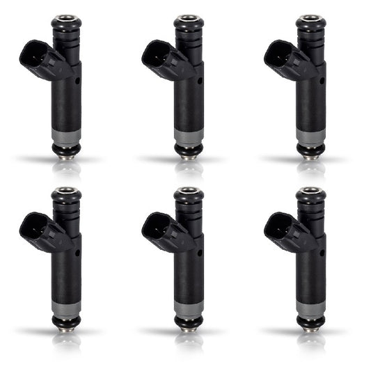 ACEON Fuel Injector Set P/N:7795-1130-06 Fits: Ford F-150 08-05 - Image 1