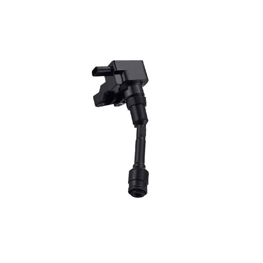 ACEON Ignition Coil P/N:7805-1171 Fits: Ford Ecosport 20-18, Ford Fiesta 17-14, Ford Focus 18-15 - Image 1