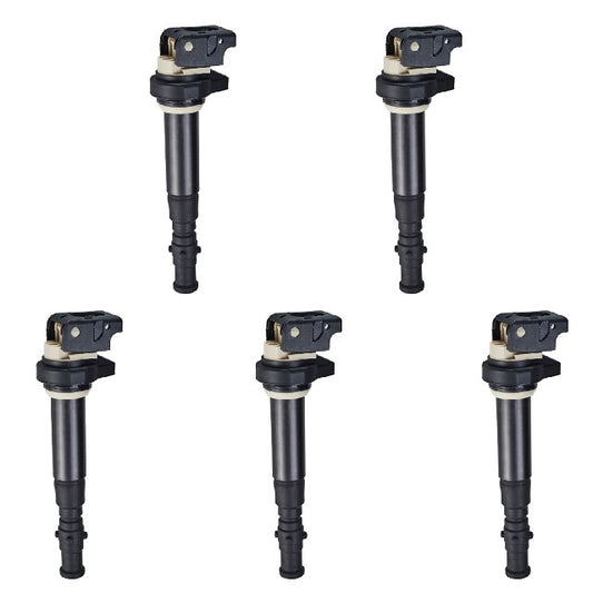 ACEON Ignition Coil Set P/N:7805-6253-05 Fits: BMW M5 10-06, BMW M6 10-06 - Image 1