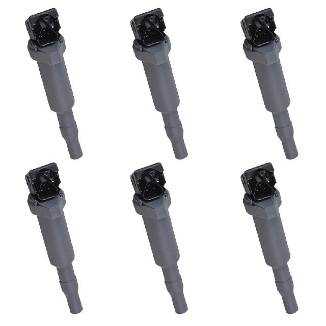ACEON Ignition Coil Set P/N:7805-6255-06 Fits: BMW 325xi 2006, BMW 330xi 2006, BMW 525i 2006, BMW 525xi 2006, BMW 530i 2006, BMW 530xi 2006 - Image 1