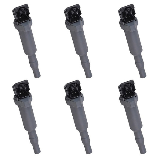 ACEON Ignition Coil Set P/N:7805-6255-06 Fits: BMW 325xi 2006, BMW 330xi 2006, BMW 525i 2006, BMW 525xi 2006, BMW 530i 2006, BMW 530xi 2006 - Image 1
