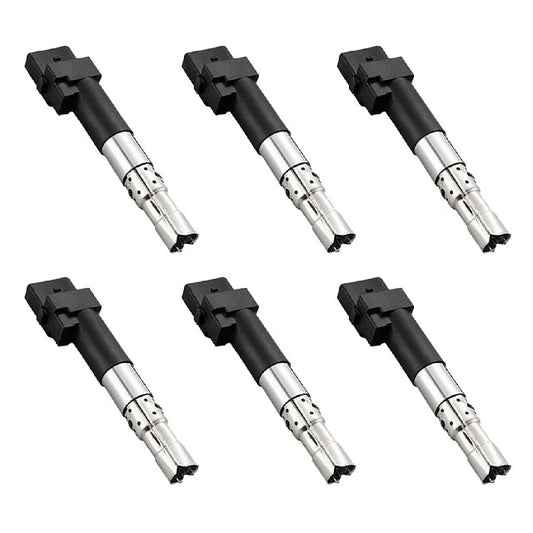 ACEON Ignition Coil Set P/N:7805-6353-06 Fits: Audi A3 Quattro, Audi Q7, Audi Tt Quattro, Porsche Cayenne, Volkswagen Eos, Volkswagen Passat, Volkswagen Passat Cc, Volkswagen R32, Volkswagen Touareg - Image 1