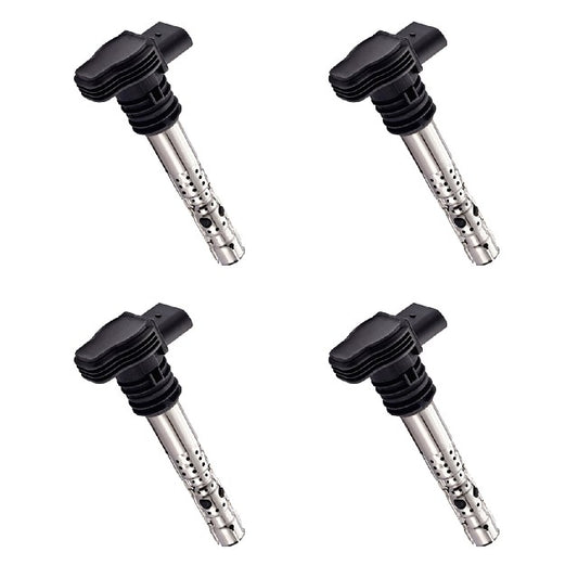 ACEON Ignition Coil Set P/N:7805-6552-04 Fits: Audi A3, Audi A4, Audi A4 Quattro, Audi A6 Quattro, Audi Allroad Quattro, Audi S3, Audi Tt, Audi Tt Quattro, Seat Toledo, Volkswagen Beetle - Image 1