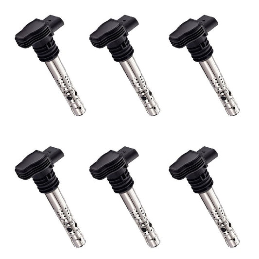 ACEON Ignition Coil Set P/N:7805-6552-06 Fits: Audi A3, Audi A4, Audi A4 Quattro, Audi A6 Quattro, Audi Allroad Quattro, Audi S3, Audi Tt, Audi Tt Quattro, Seat Toledo, Volkswagen Beetle - Image 1
