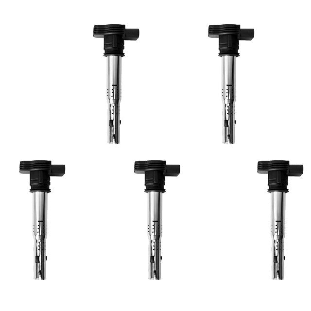 ACEON Ignition Coil Set P/N:7805-6554-05 Fits: Volkswagen Beetle 10-06, Volkswagen Beetle 19-12, Volkswagen Bora 10-06, Volkswagen Golf 14-10, Volkswagen Golf Sportwagen 13-10, Volkswagen Jetta 15-05, Volkswagen Passat 14-12, Volkswagen Rabbit 09-06 - Image 1