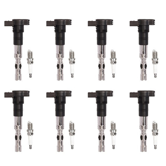 ACEON Ignition Kit P/N:7805-6559-B1 Fits: Volkswagen Phaeton 06-04, Volkswagen Touareg 06-04 - Image 1
