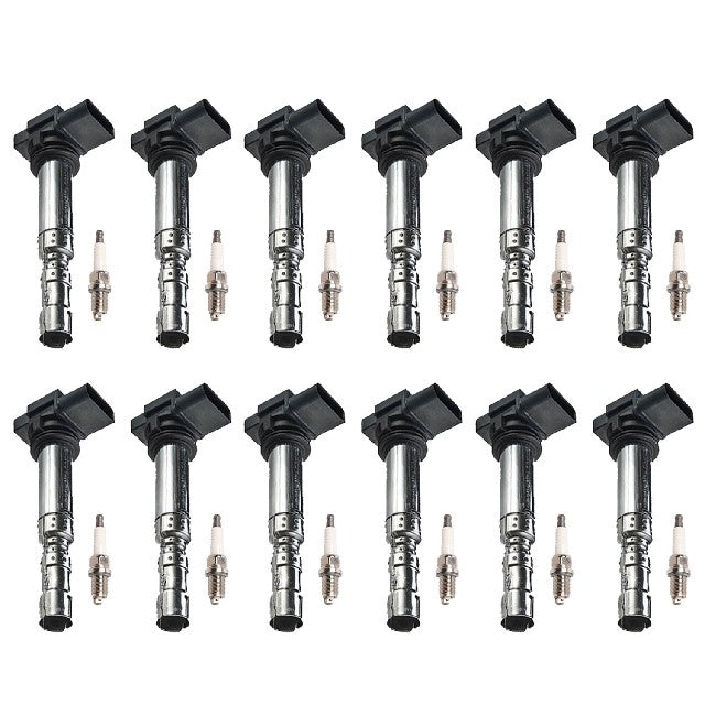 ACEON Ignition Kit P/N:7805-6561-B1 Fits: Bentley Continental 12-03 - Image 1