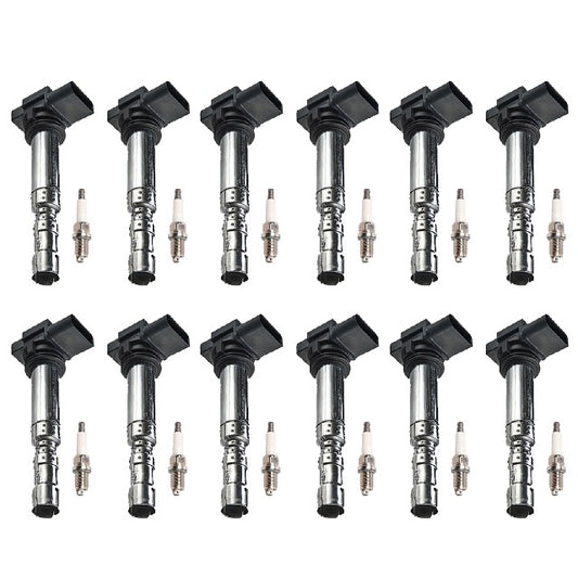 ACEON Ignition Kit P/N:7805-6561-B1 Fits: Bentley Continental 12-03 - Image 1