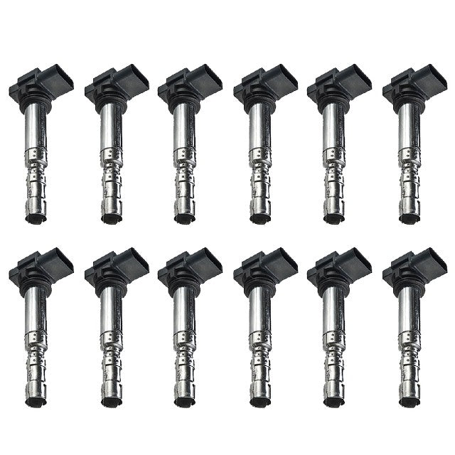 ACEON Ignition Coil Set P/N:7805-6561-12 Fits: Audi A3, Audi A4, Audi A4 Quattro, Audi A6 Quattro, Audi Allroad Quattro, Audi S3, Audi Tt, Audi Tt Quattro, Seat Toledo, Volkswagen Beetle - Image 1