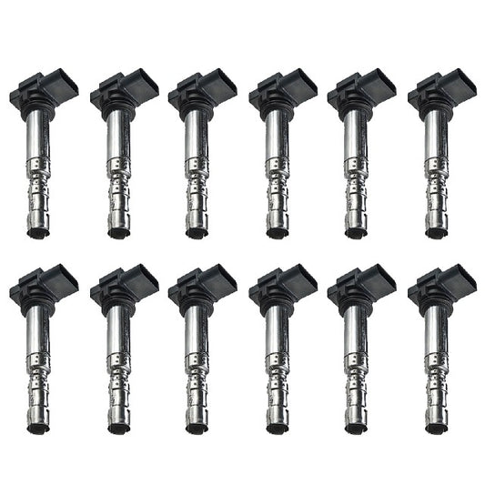 ACEON Ignition Coil Set P/N:7805-6561-12 Fits: Audi A3, Audi A4, Audi A4 Quattro, Audi A6 Quattro, Audi Allroad Quattro, Audi S3, Audi Tt, Audi Tt Quattro, Seat Toledo, Volkswagen Beetle - Image 1