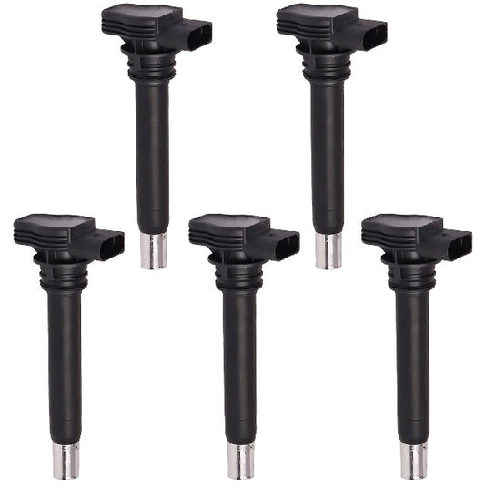 ACEON Ignition Coil Set P/N:7805-6565-05 Fits: Audi A3, Audi A3 Quattro, Audi A4, Audi A4 Allroad, Audi A4 Quattro, Audi A5, Audi A5 Quattro, Audi A6, Audi A6 Quattro, Audi A8 Quattro - Image 1