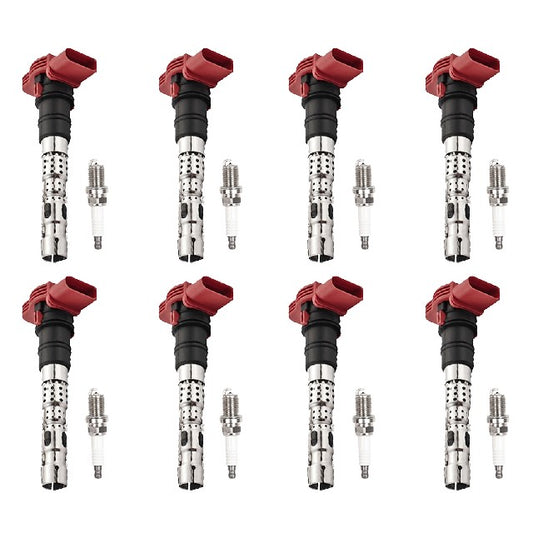 ACEON Ignition Kit P/N:7805-6567-B1 Fits: Audi A6 Quattro 06-05, Audi A8 Quattro 06-03, Audi Allroad Quattro 05-03, Audi S4 09-04 - Image 1