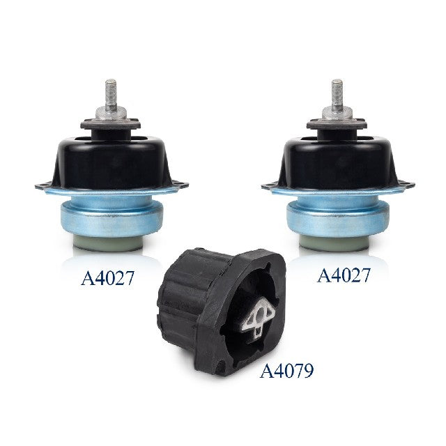 ACEON Engine Mount Set P/N:9000-2009 Fits: BMW X5 18-07, BMW X6 19-09 - Image 1