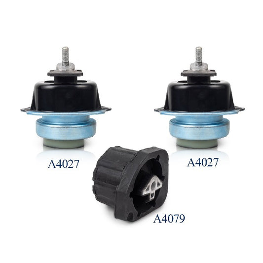 ACEON Engine Mount Set P/N:9000-2009 Fits: BMW X5 18-07, BMW X6 19-09 - Image 1