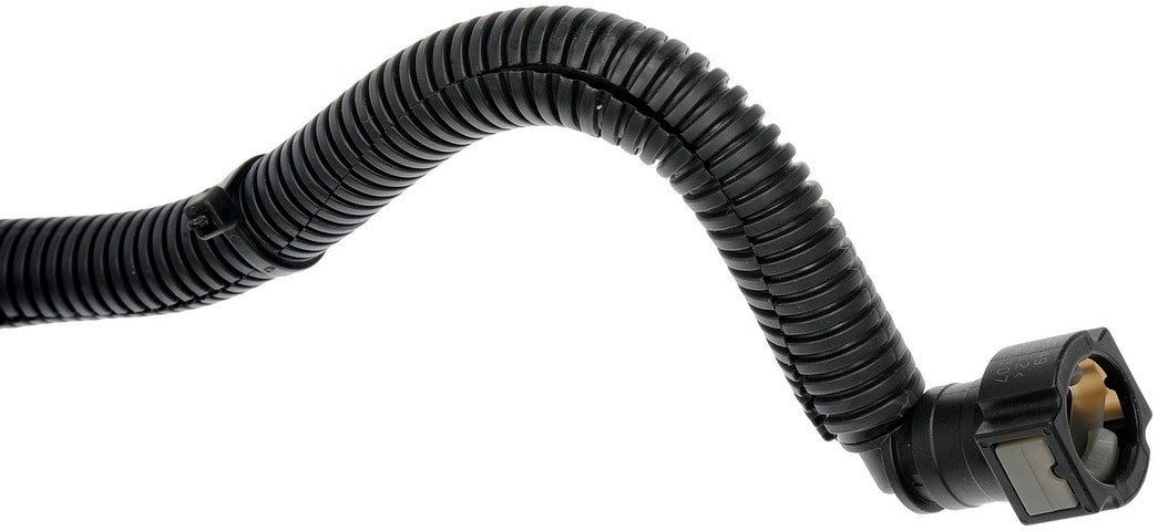 Dorman - OE Solutions Válvula de Purga de Canister de Motor P/N:911-774 Fits: Ford Escape 16-13, Lincoln Mkc 2015 - Image 3