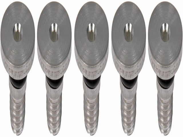 Dorman - OE Solutions Tapón de Cubierta de Filtro de Aceite de Motor P/N:917-065-P.1 Fits: Volkswagen Phaeton 06-04, Volkswagen Touareg 12-06 - Image 1
